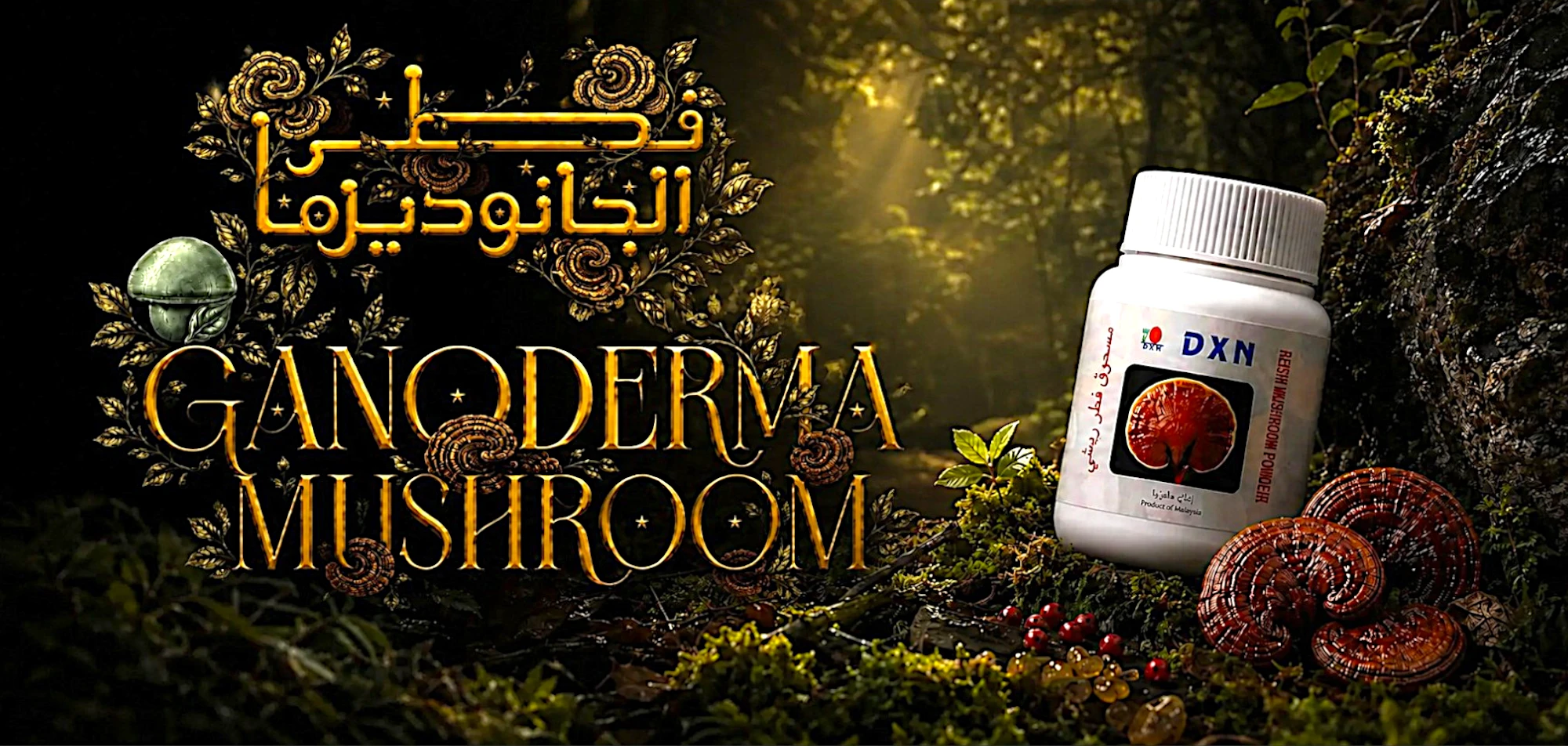 The Royal Mushroom | Why DXN’s Reishi Stands Above the Res