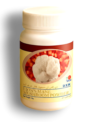 Lion’s Mane Mushroom