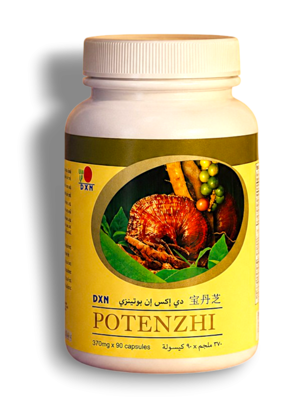 Potensi 90