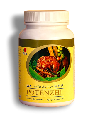Potensi 90