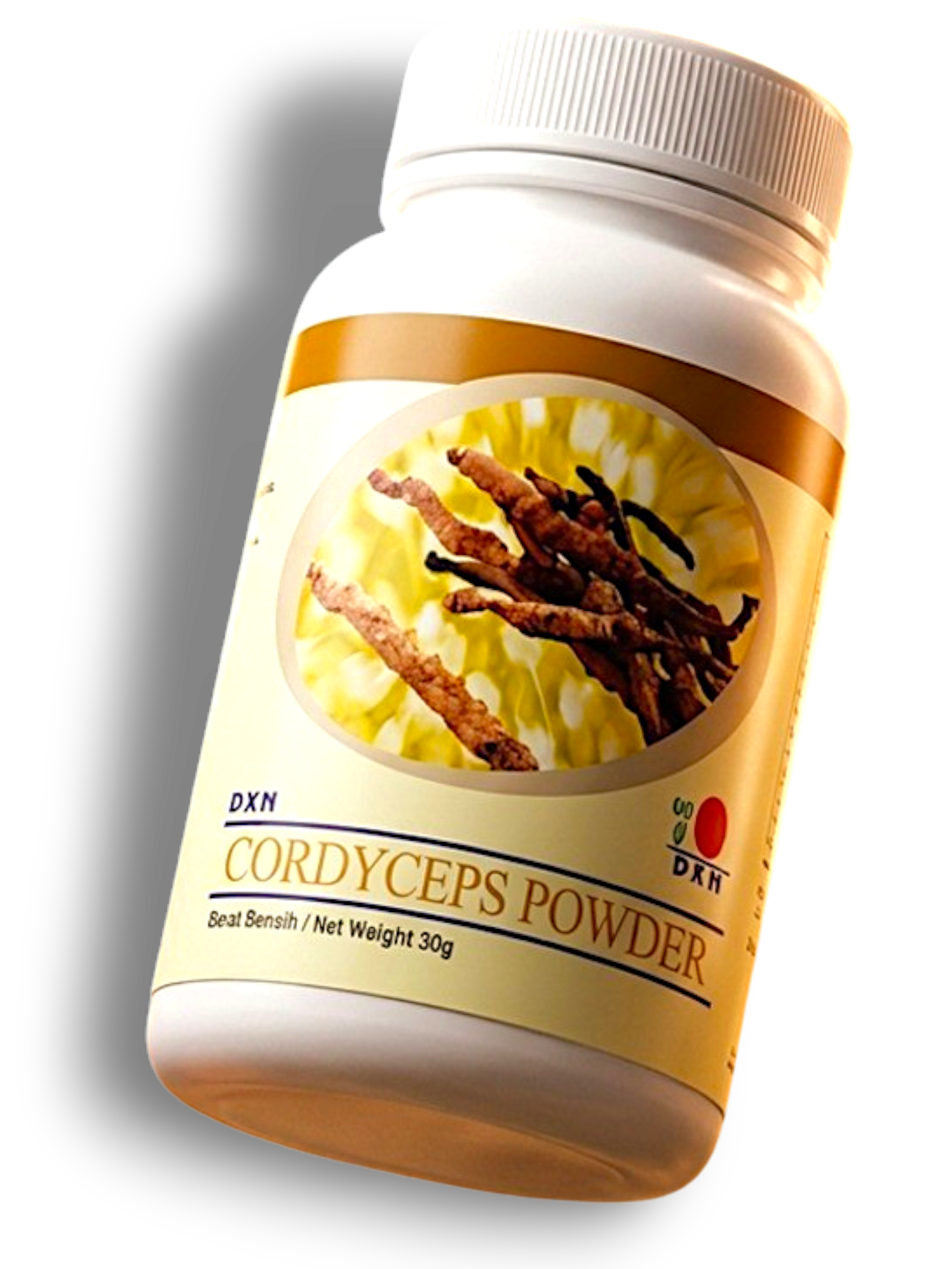 Cordyceps Mushroom